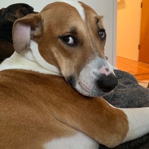 Meet your Posher, Timothy